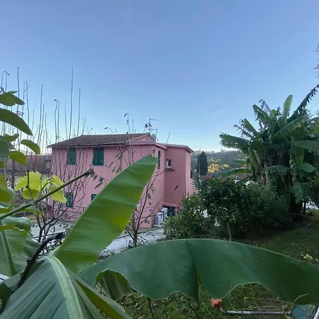 Appartement Casa Rosa Tre- 45 Quadratmeter Und Parkplatz By Interhome *
